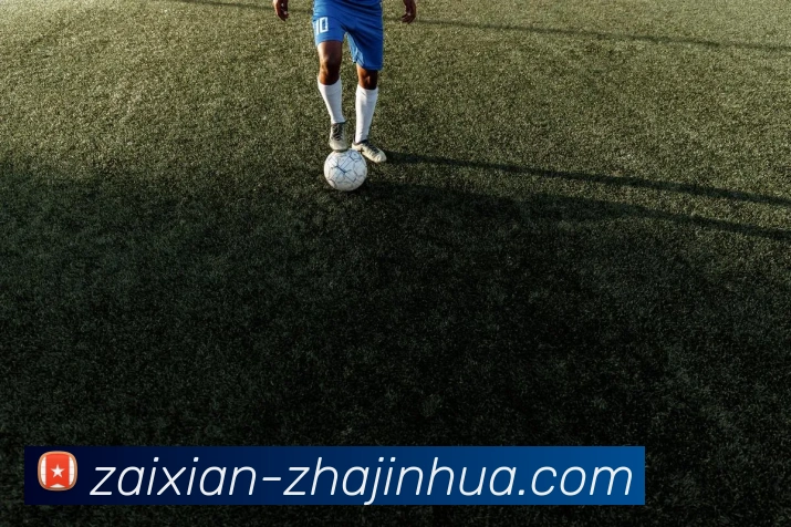 多媒体互动体验